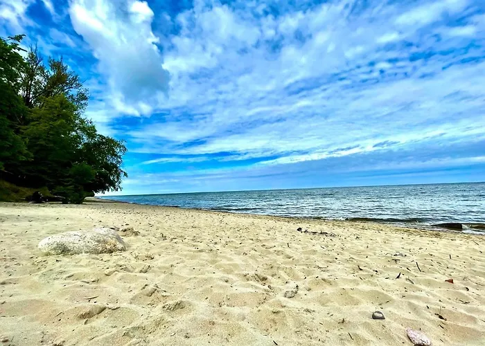 Harbour View Apartment